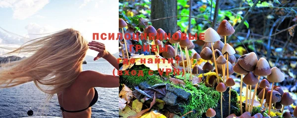 крисы Алексин