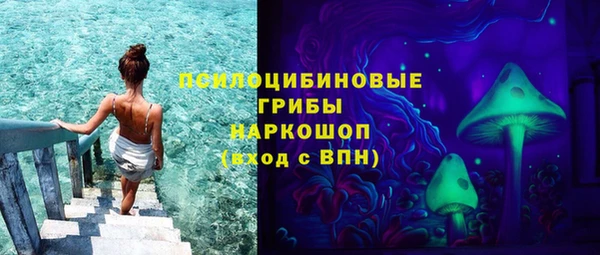 mix Осинники
